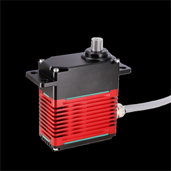 DSSERVO DES220 24V  220kg Servo Motor - 180 Derece