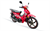 ARORA FIRTINA 50