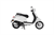 MONDIAL WING 50İ