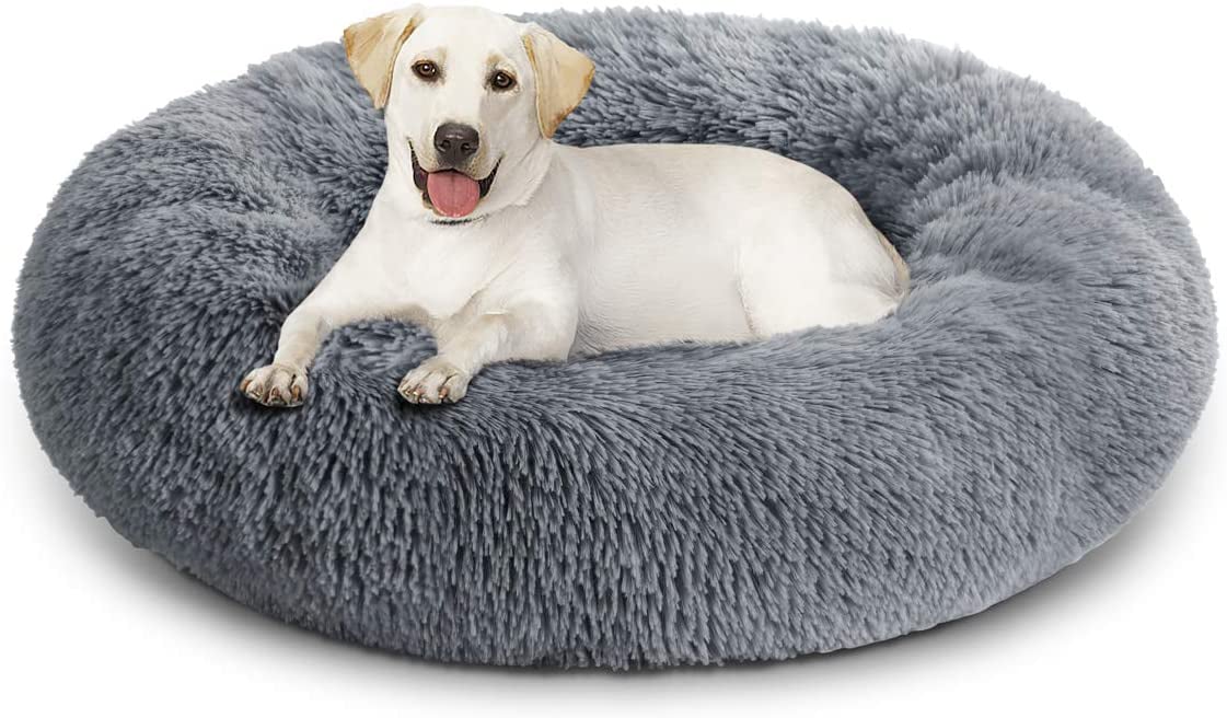Pet Minderler