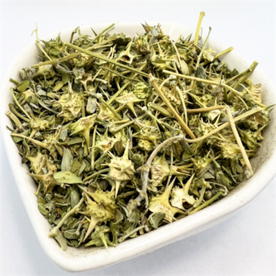Çoban Çökerten (Demir Dikeni) 100Gr