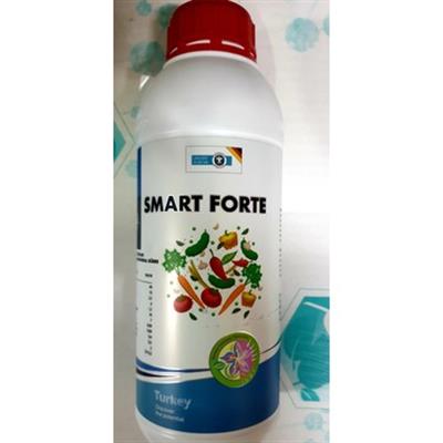 Smart Forte