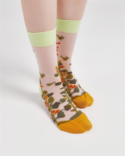 Kadın Japon Kore Tarzı Transparan Çorap  Çorap Güneş Desen