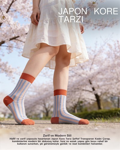Kadın Japon Kore Tarzı Transparan Çorap Mavi Çizgili