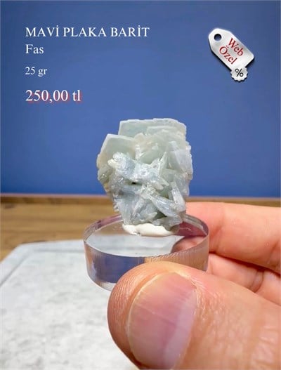 MAVİ PLAKA BARİT 25 GR.