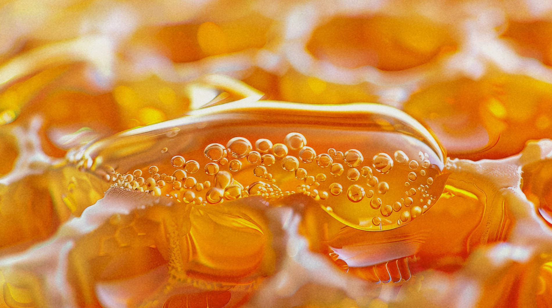 Propolis İçeren Cilt Bakım Ürünleri