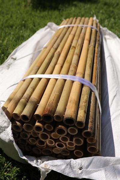 200 Cm X 200 Cm Gerçek Bambu Çit / Paravan