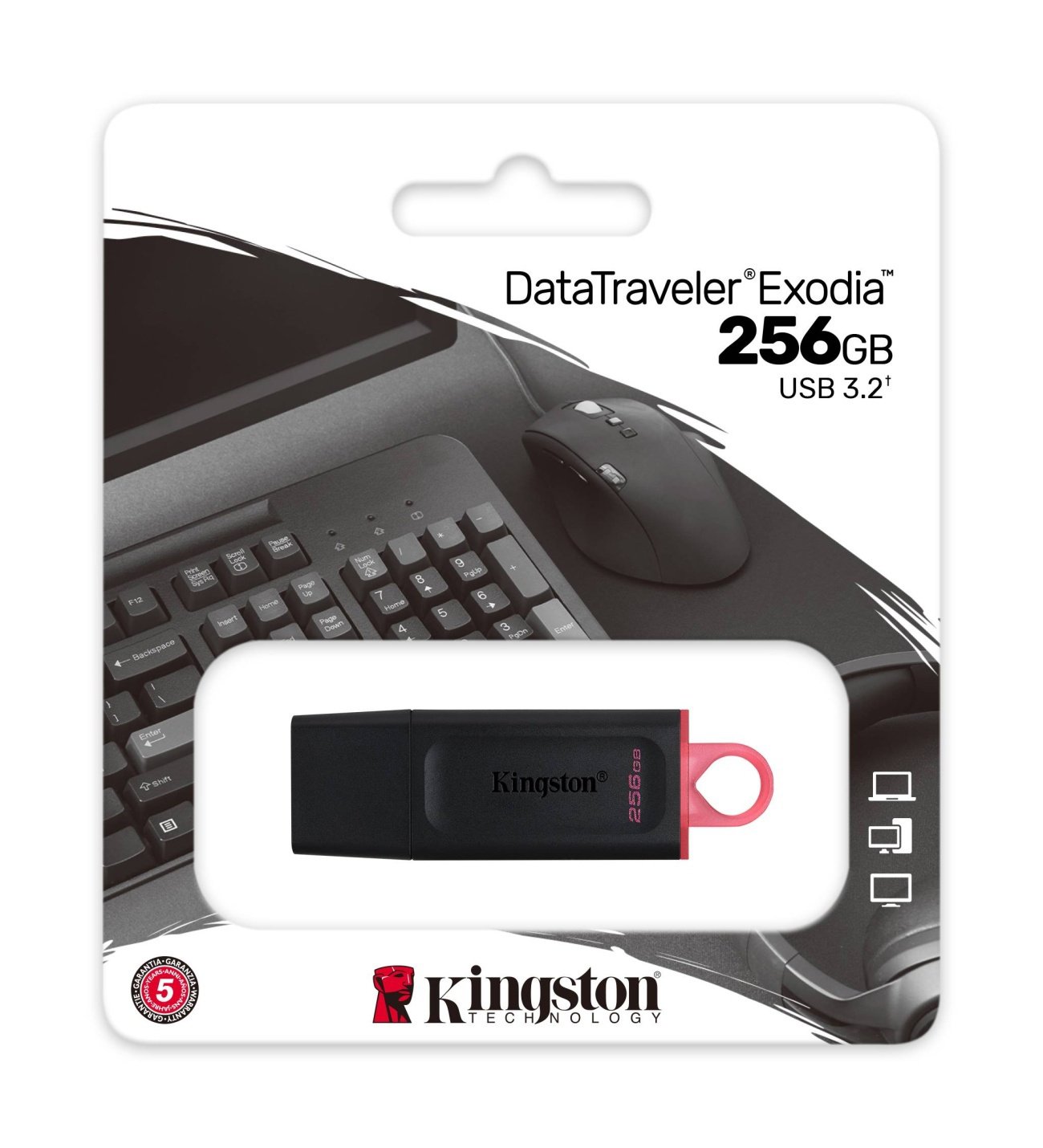 Kingston Exodia DTX 256GB