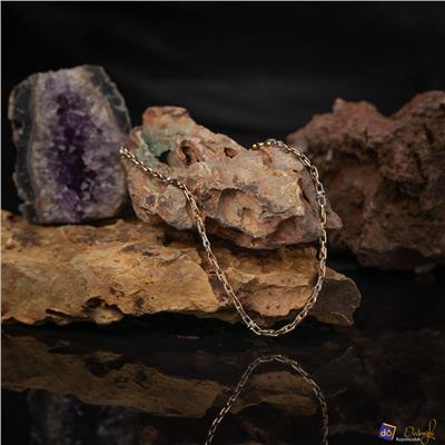 Sarı - Beyaz Altın Erkek Zincir Kolye