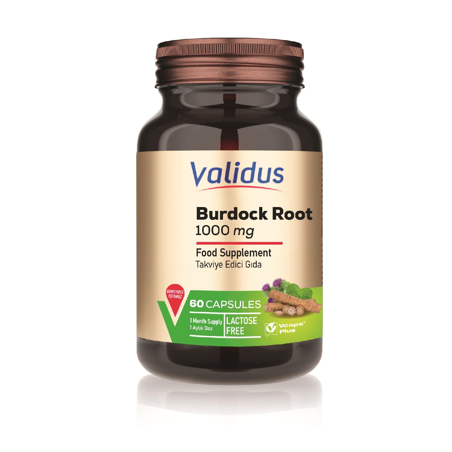 Burdock Root 1000 Mg 60 Kapsül