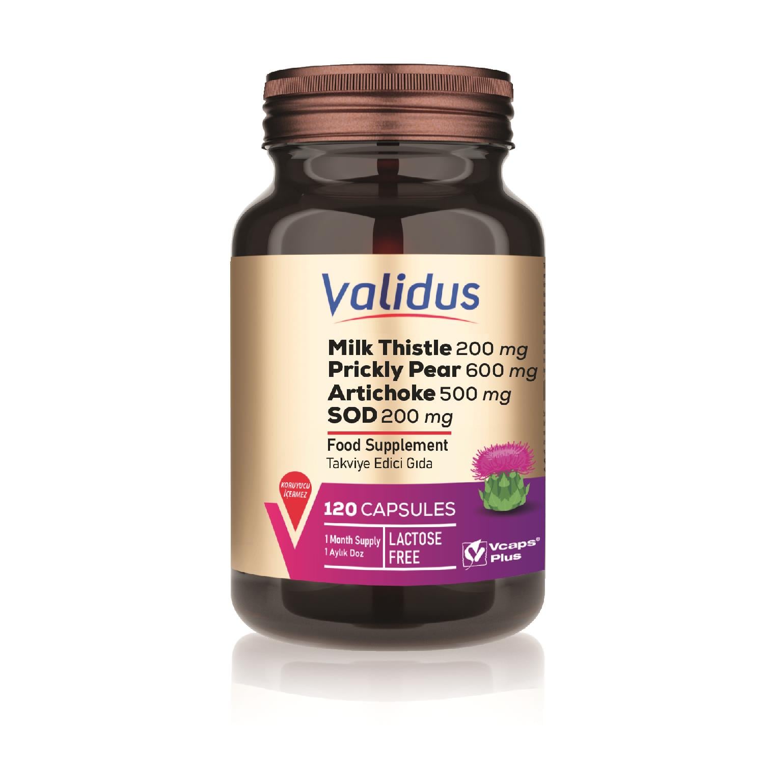 Liver Milk Thistle 120 Kapsül