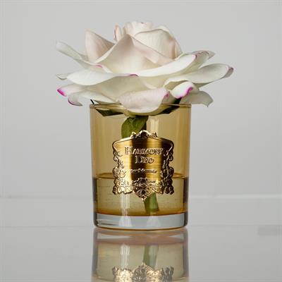 1 Adet Gerçek Dokulu Beyaz Gül