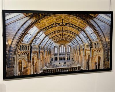 Cam Baskı Siyah Çerçeveli Tablo 