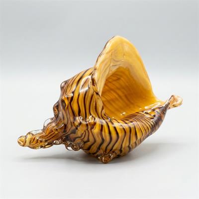 Cam Deniz Kabuğu Dekor