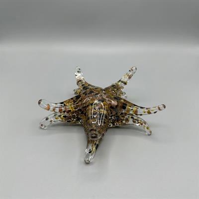 Cam Deniz Yıldızı Obje