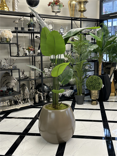 Fiber Saksıda Çiçek Arajmanı