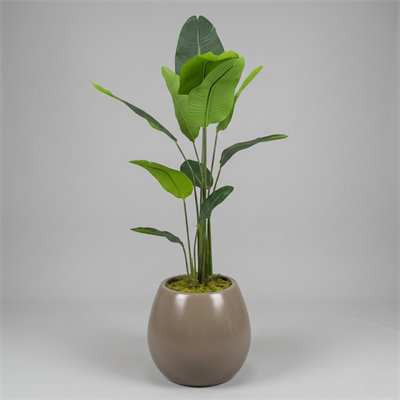 Fiber Saksıda Çiçek Arajmanı