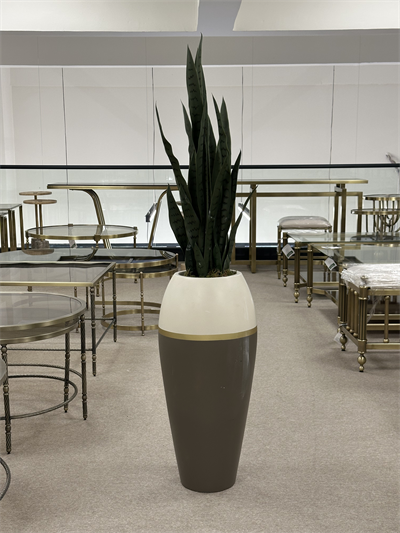 Fiber Saksıda Çiçek Arajmanı