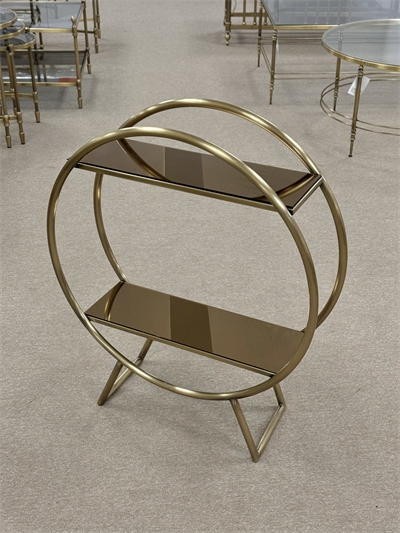 Gold Metal Cam Raflı Ünite