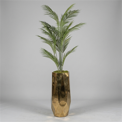 Gold Titanyum Saksı