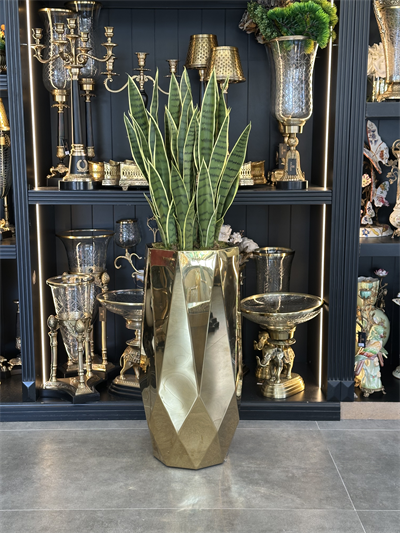 Gold Titanyum Saksı