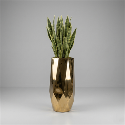 Gold Titanyum Saksı