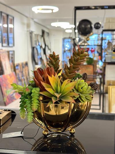 Metal Gold Saksıda  İthal Sukulent
