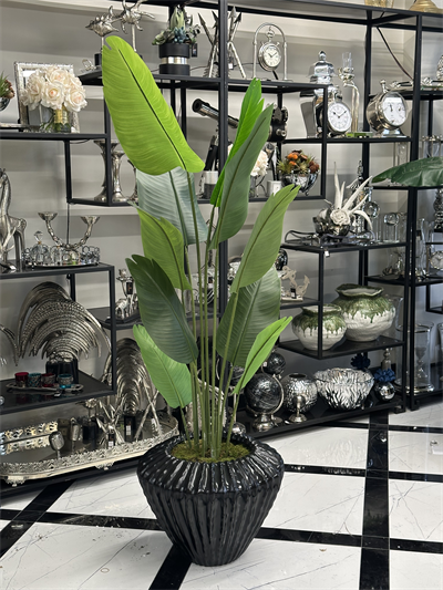 Siyah Fiber Saksıda Çiçek Arajmanı