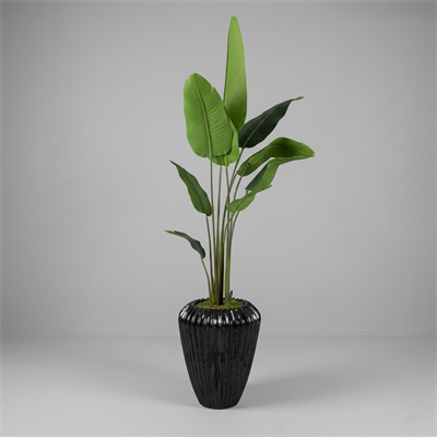 Siyah Fiber Saksıda Çiçek Arajmanı