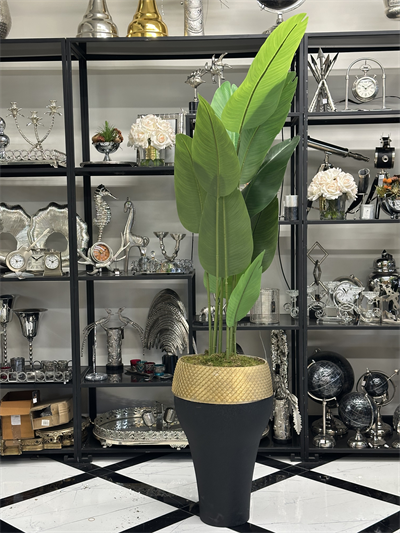 Siyah Gold Fiber Saksıda Çiçek Arajmanı