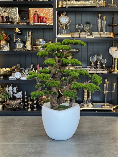 Yapay Bonsai Çam Ağacı