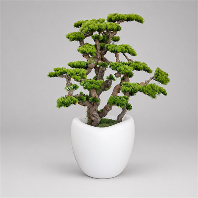 Yapay Bonsai Çam Ağacı