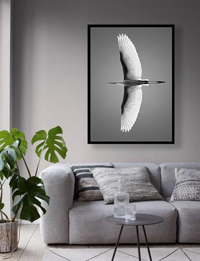 Kuş Kanvas Tablo Beyaz