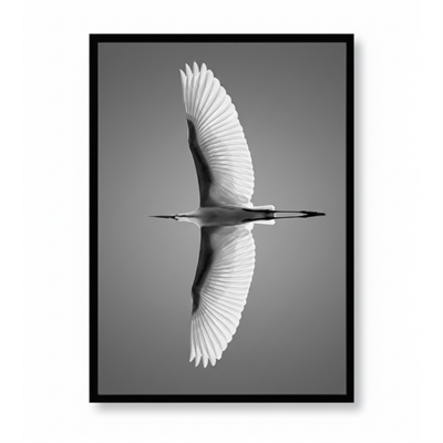 Kuş Kanvas Tablo Beyaz