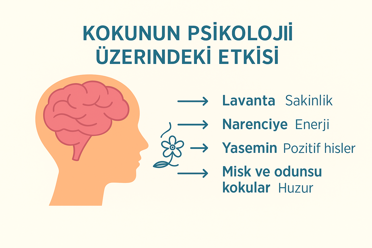 Kokunun Psikoloji Üzerindeki Etkisi ve Çamaşır Parfümü ile Evde Mutluluk Etkisi