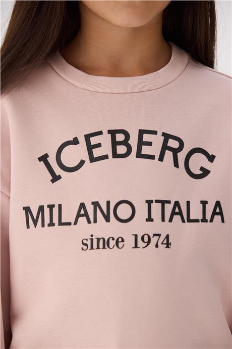 Iceberg Unisex Sweatshirt