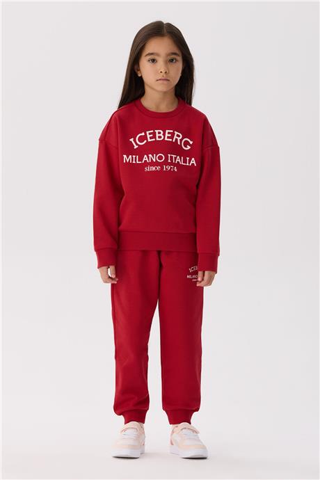Iceberg Unisex Sweatshirt