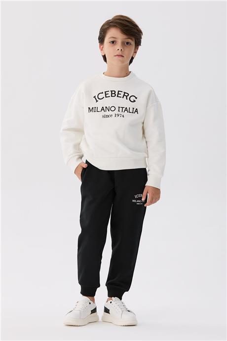 Iceberg Unisex Sweatshirt