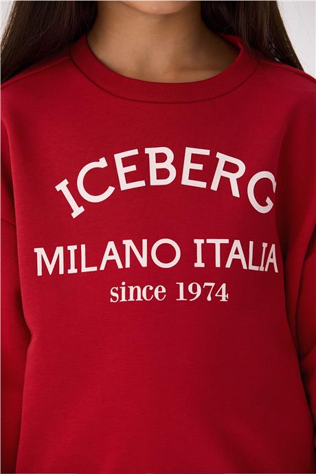 Iceberg Unisex Sweatshirt