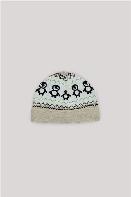 Layette Erkek Bebek Desenli Bere