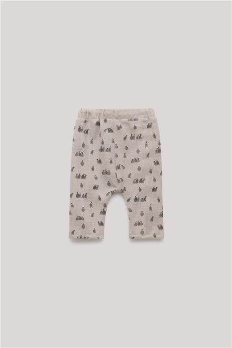 Layette Erkek Bebek Desenli Eşofman Altı