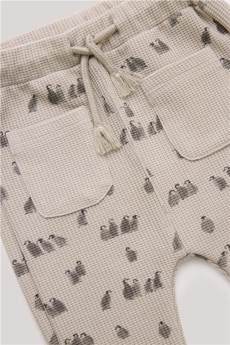 Layette Erkek Bebek Desenli Eşofman Altı