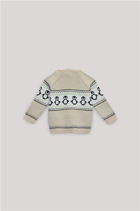 Layette Erkek Bebek Desenli Hırka