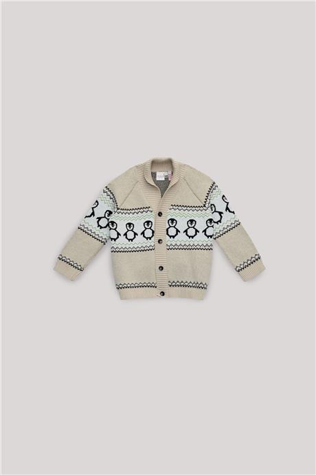 Layette Erkek Bebek Desenli Hırka