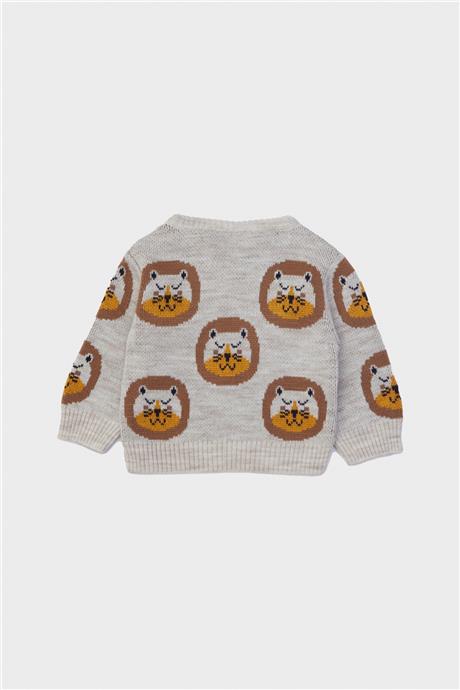 Layette Erkek Bebek Desenli Kazak