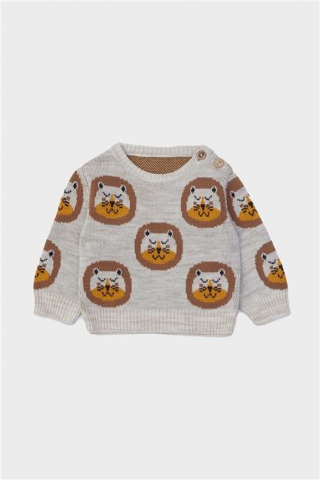 Layette Erkek Bebek Desenli Kazak
