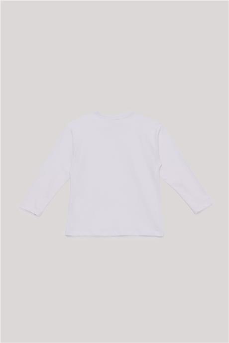Nebbati Basic Erkek Çocuk Renkli T-Shirt