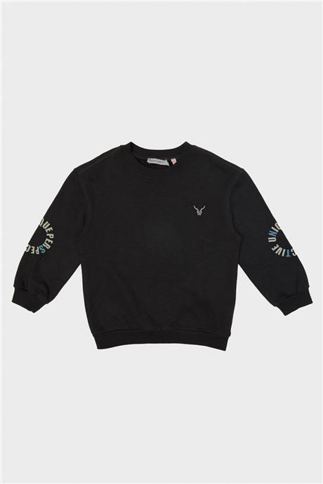 Nebbati Erkek Çocuk Antrasit Sweatshirt