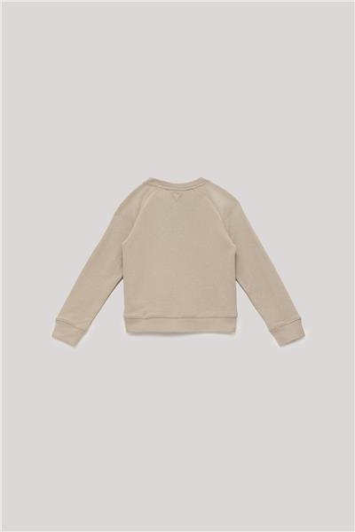 Guess Erkek Çocuk Bej Sweatshirt