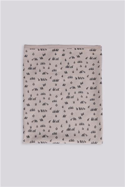 Layette Erkek Bebek Desenli Battaniye TakımıLayette Erkek Bebek Desenli Battaniye Takımı